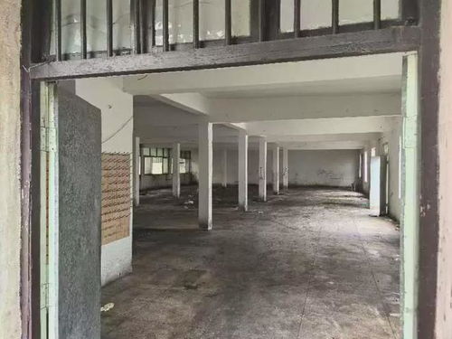 香飘飘食品宁波工厂被高价拍卖，银箔画收藏引发市场关注